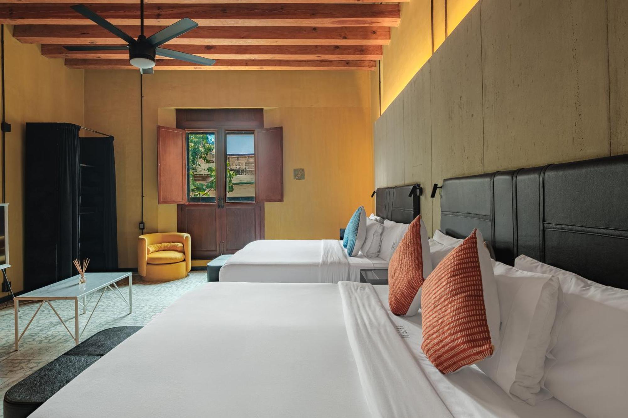 Pug Seal Hotel Oaxaca