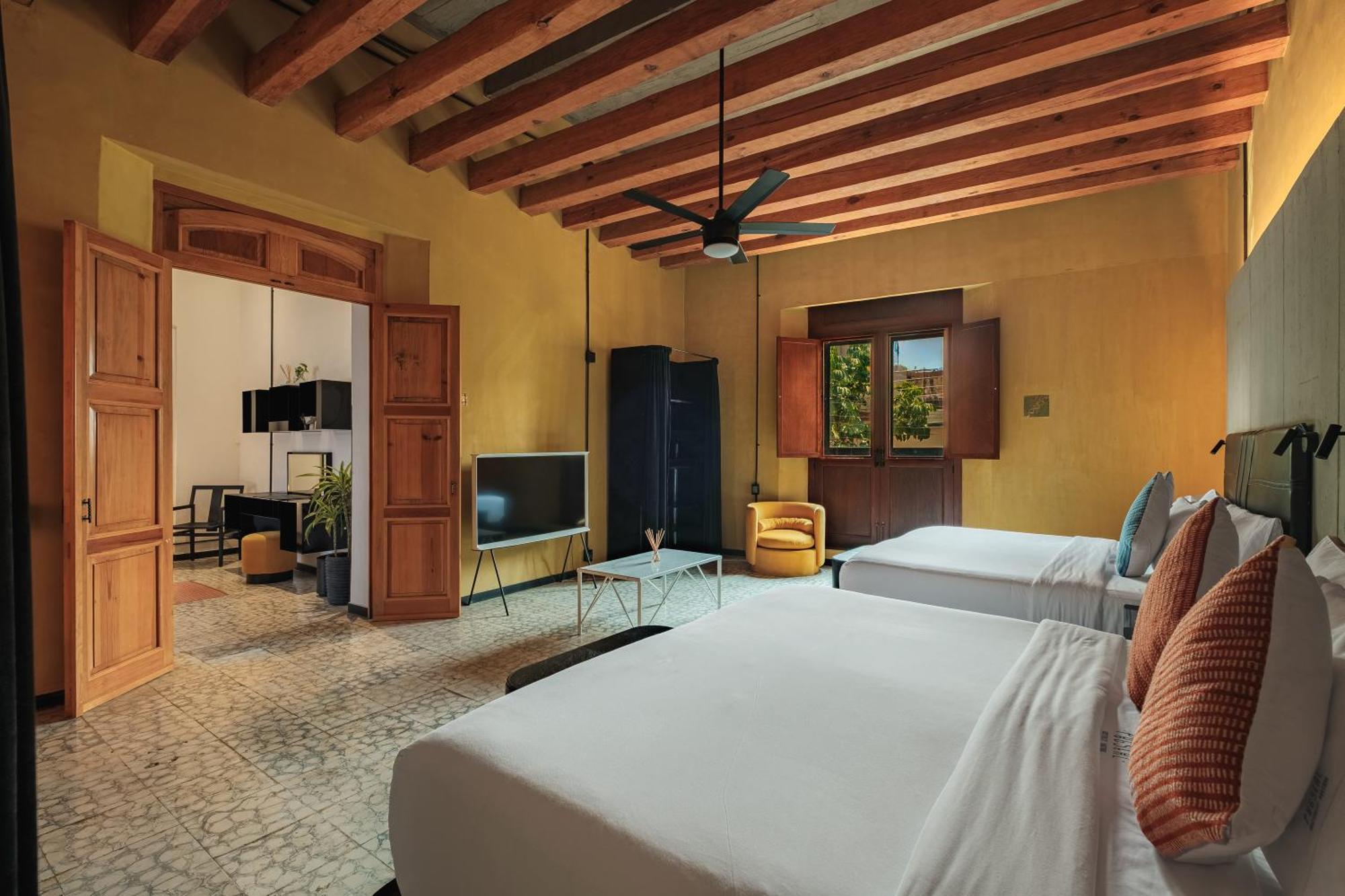 Hotel Pug Seal Oaxaca